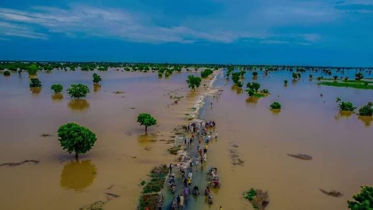 Benin – Over 40 Dead, 1,300 Households Displaced After Weeks of Flooding