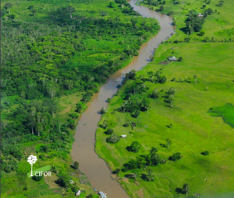 Nigerian Center for Climate Renewal, Resilience, and Adaptation