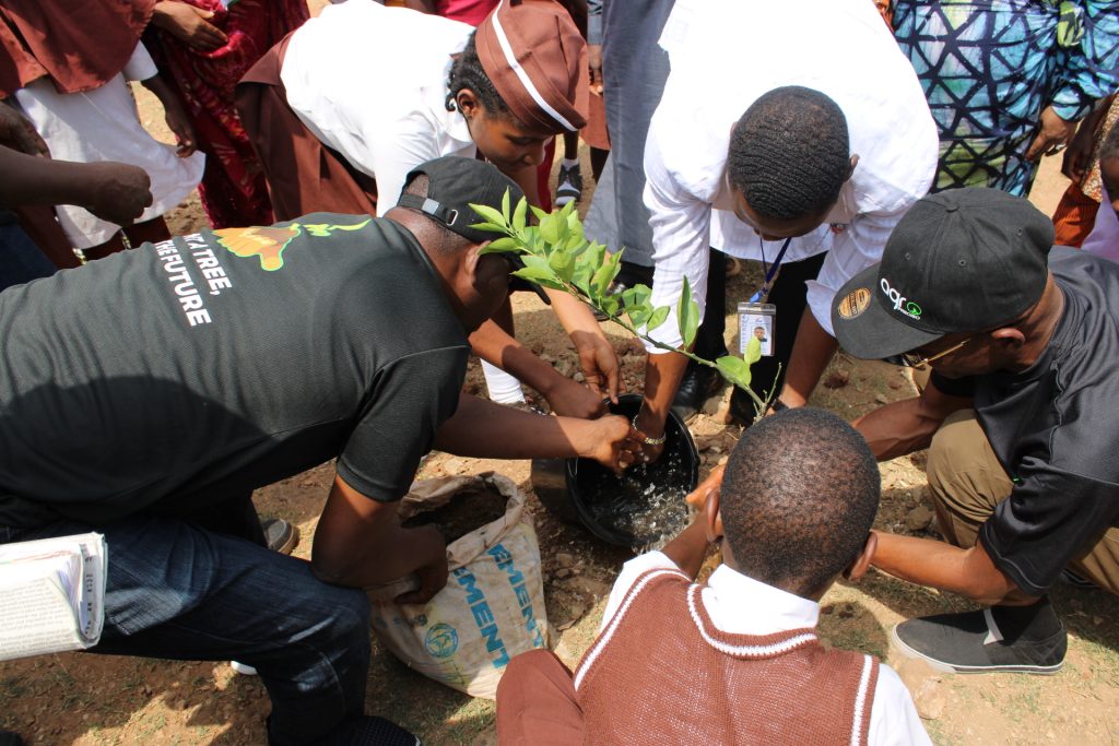 Nigerian Center for Climate Renewal, Resilience, and Adaptation