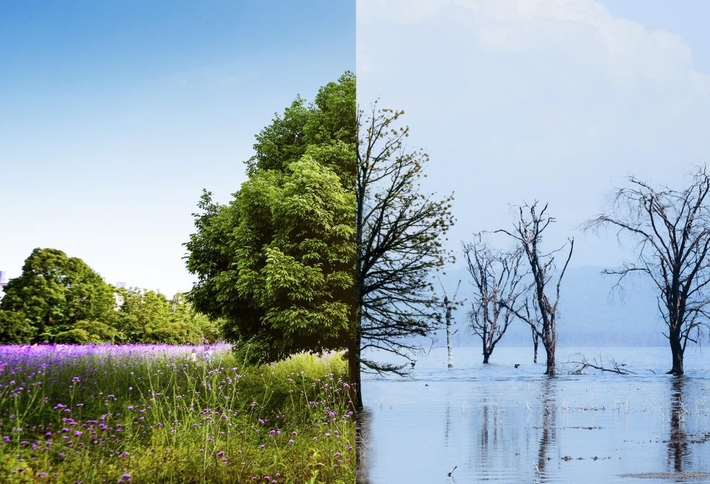 The Race Against Time: How Climate Change is Changing the World as We Know It