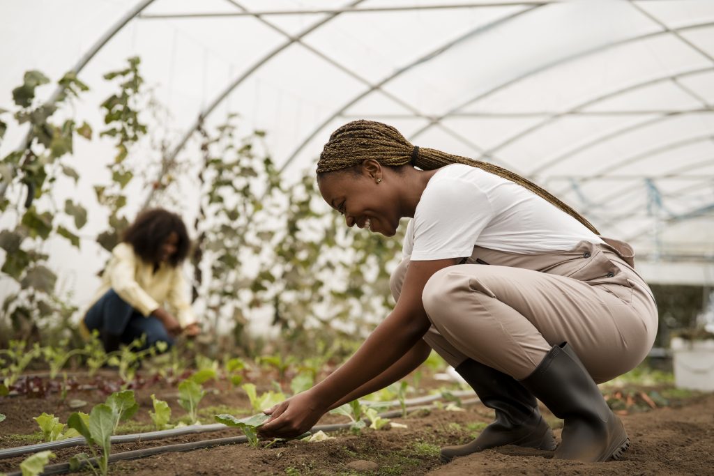 Nigerian Center for Climate Renewal, Resilience, and Adaptation